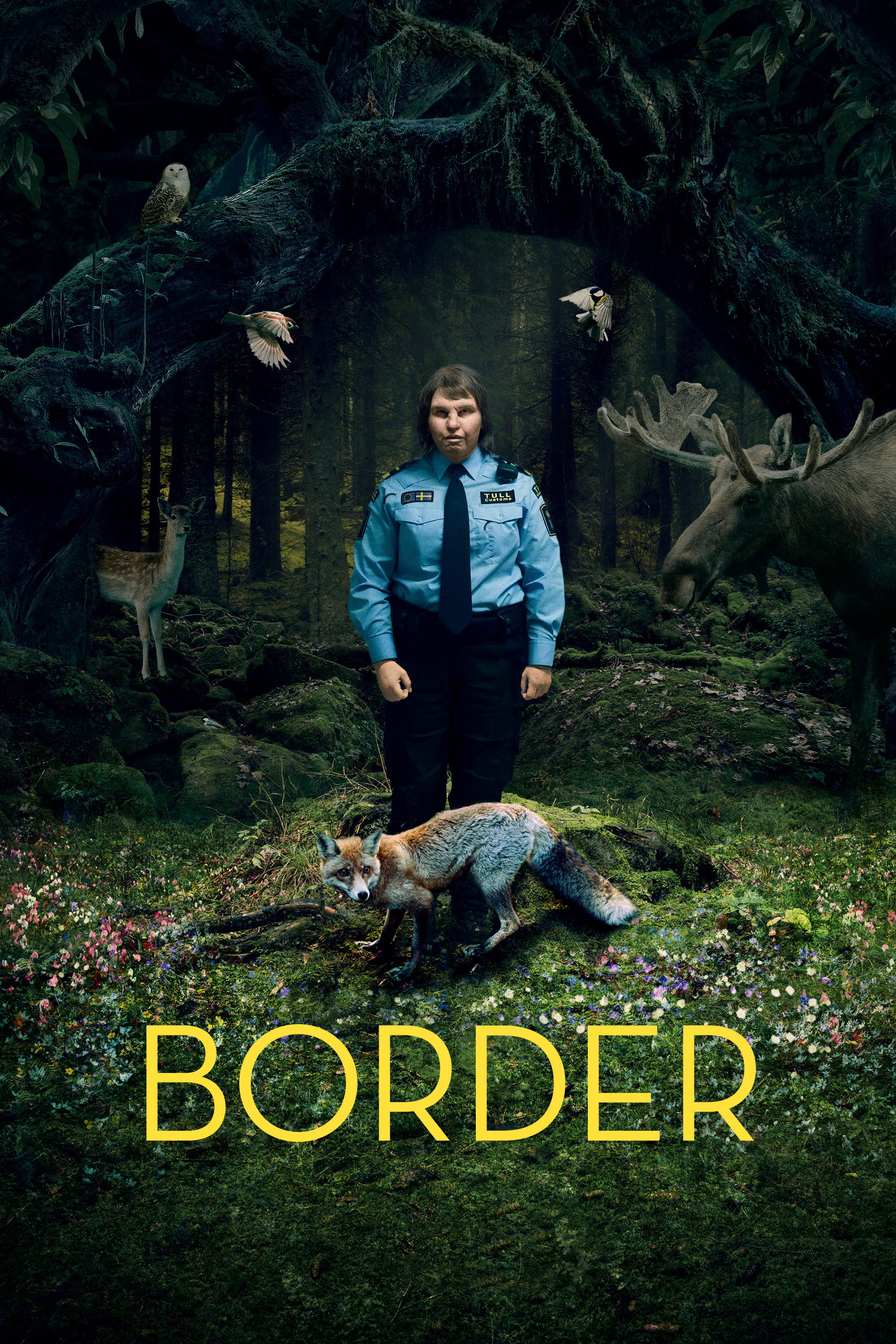  Border 
