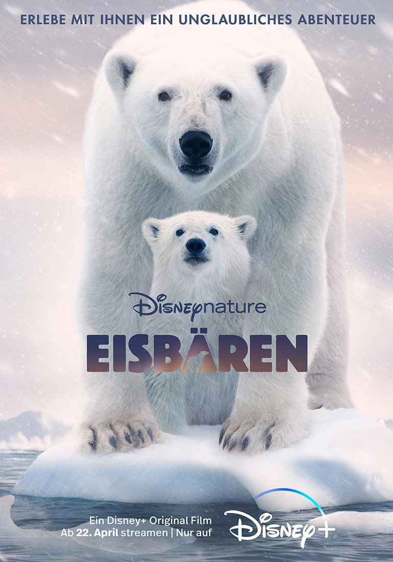  Eisbären 