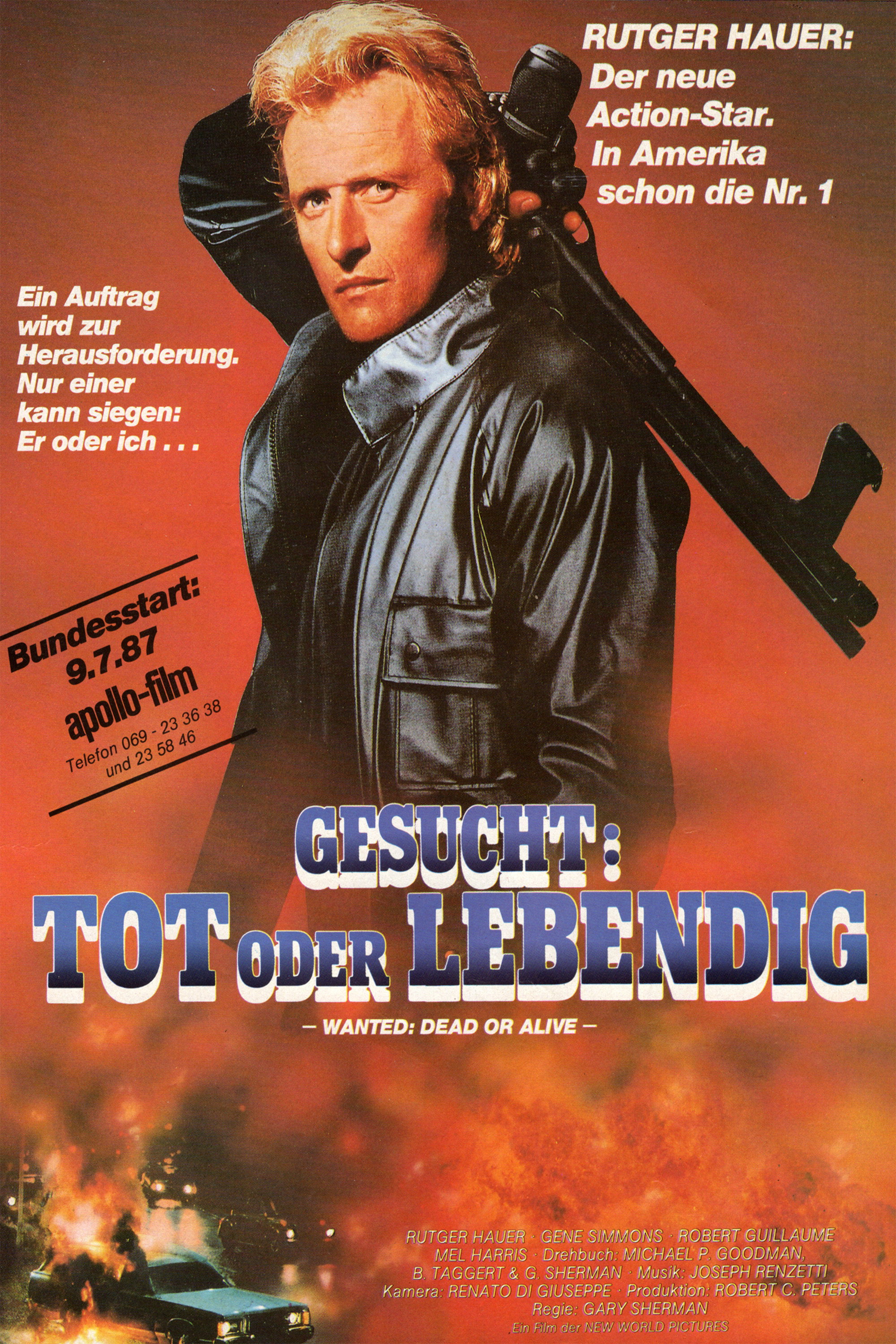  Gesucht: Tot oder lebendig 