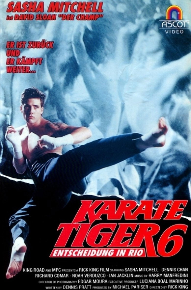  Karate Tiger 6 - Entscheidung in Rio 