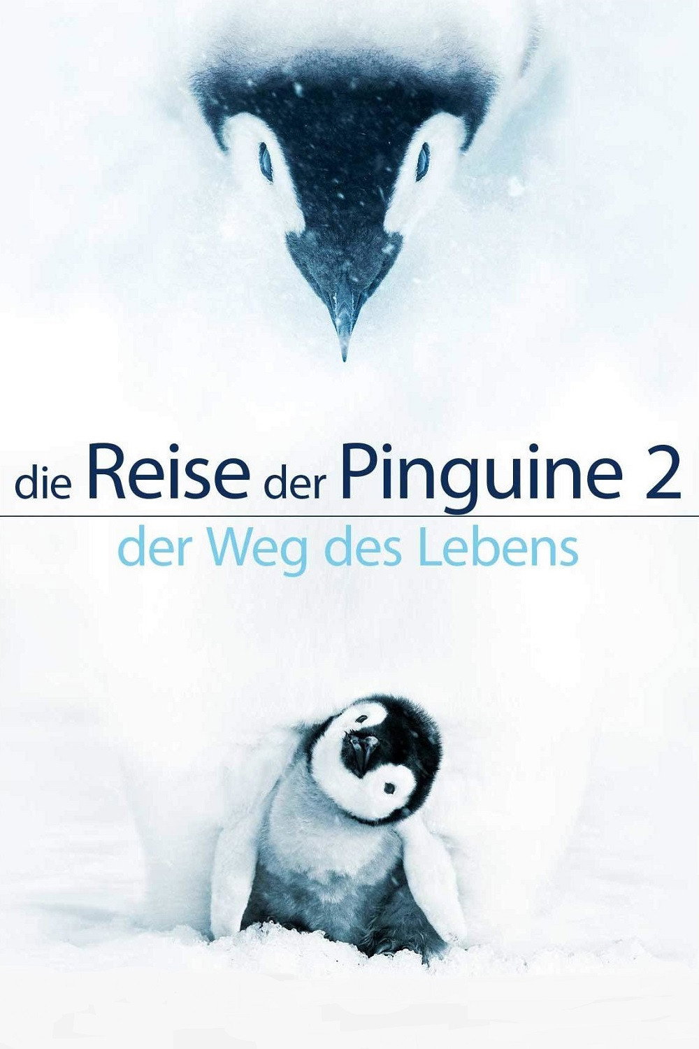  Die Reise der Pinguine 2: Der Weg des Lebens 